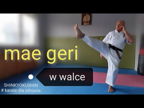 mae geri w walce komentarz Shihan Jacek Lamot (SHINKYOKUSHIN)