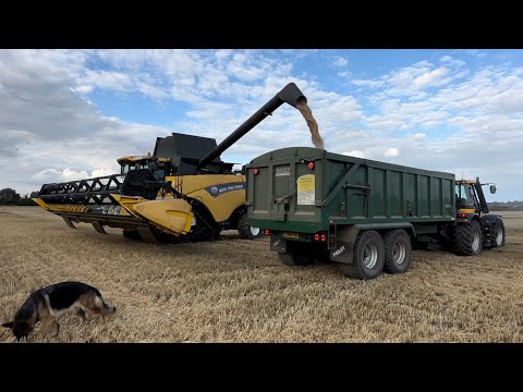 FARM UPDATE 171 I FALL ASLEEP AND NITROGEN TRIAL COMBINED
