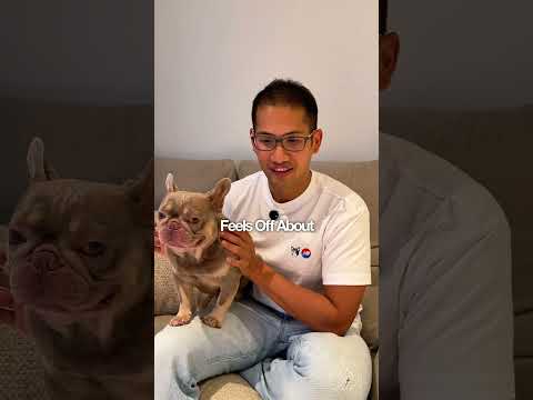 How to Find the Right Agent for You video thumbnail