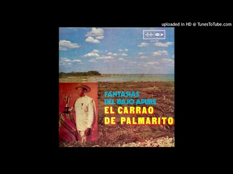 06. El Gabán Barinés - El Carrao de Palmarito