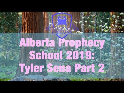 APS 2019: The U.S. Constitution Part 2 - Tyler Sena