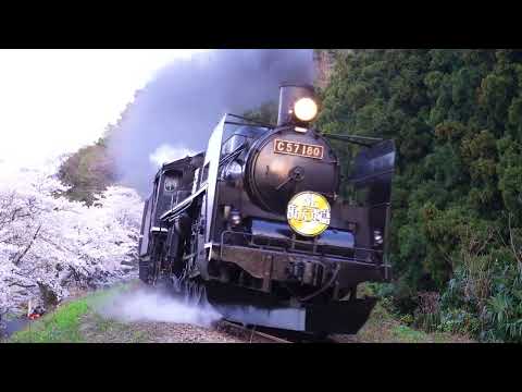 五泉の桜とSLばんえつ物語