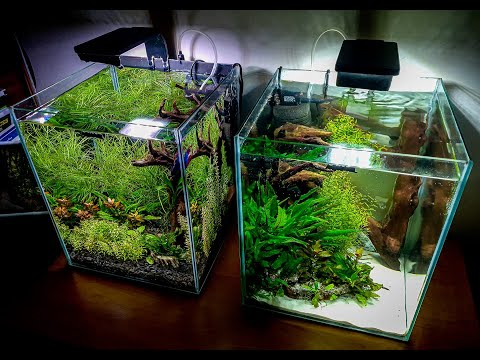 (181) Nano Cubes Aquael 30l
