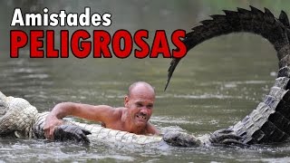 5 Amistades Peligrosas entre Animales y Humanos
