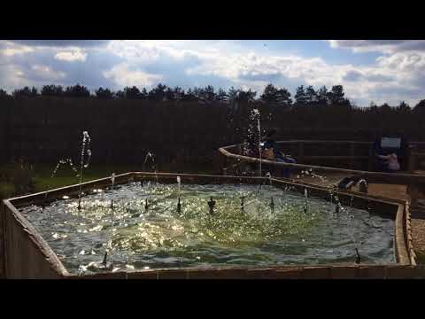 Interactive Dancing Musical Fountains