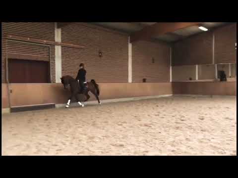 ByStival Kossack (Stival x Beatrix by Aja Shakakhan)