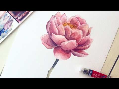 Peony flower in watercolor - easy step by step tutorial