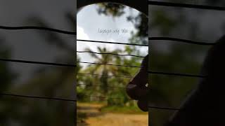 Download lagu Wes Tatas ( Happy Asmara ) - Cover Fingerstyle gitar lagu Dangdut mp3