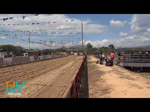 #EnVivo | Final Nacional de Coleo Pore - Casanare, 21 de diciembre 2025.