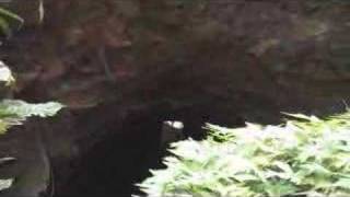 Hawaiian Retreats~ Own your own "Garden of Eden"~Haiku, Maui