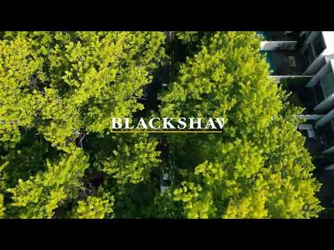 2/70 Franklin Street, Forrest, ACT 2603, 3 slaapkamers, 2 badkamers, Townhouse