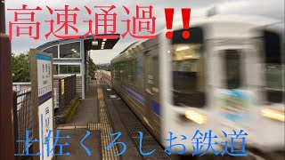 高速通過‼️土佐くろしお鉄道の通過メロディ