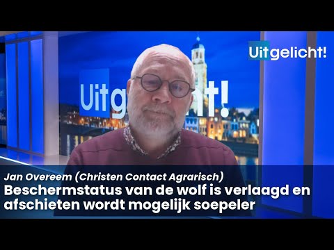 Uitgelicht! 4 december 2024 - Jan Overeem over verlaagde beschermstatus van de wolf
