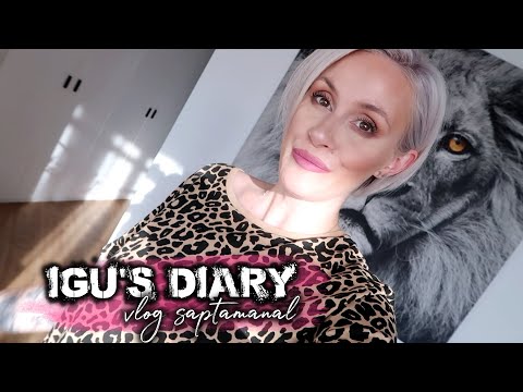 Igu’s Diary #34: Povestea lui Seth, peripetii, am fost la Sibiu si prima mea camera