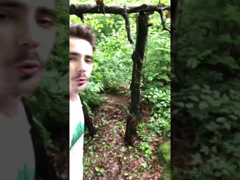 S Hudbou Vesmírnou - Stratení v Karibiku!