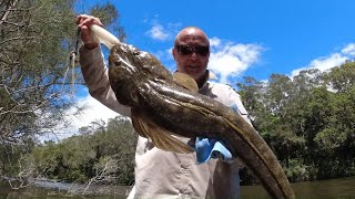 Download Lagu Small Creek, Monster Flathead on Soft Plastics. Mid North Coast NSW. Thumbnail