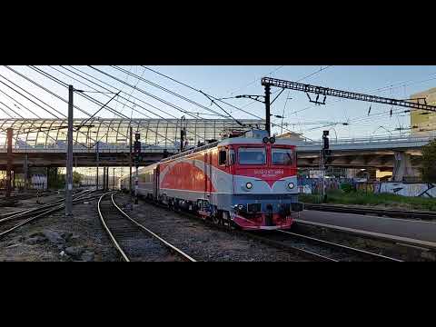 Delfinul 888 - 8 de la Constanța