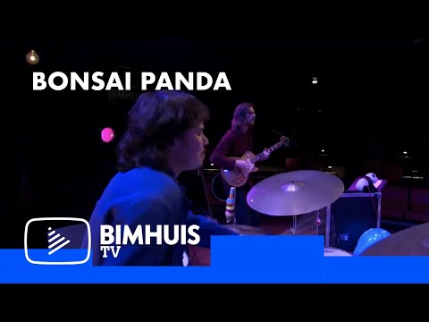BIMHUIS TV Presents: BONSAI PANDA