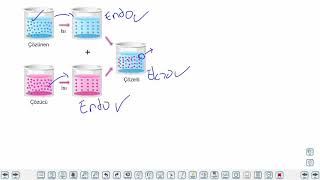 Eğitim Vadisi 11.Sınıf Kimya 12.Föy Çözücü Çözünen Etkileşimleri Konu Anlatım Videoları