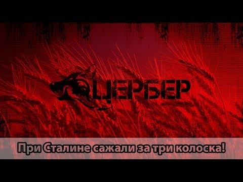 При Сталине сажали за три колоска! Не жалко их? [Мысли Цербера]