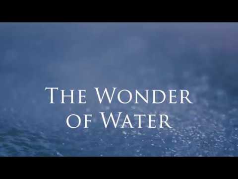 Water, Ultimate Giver of Life, Points to Intelligent Design