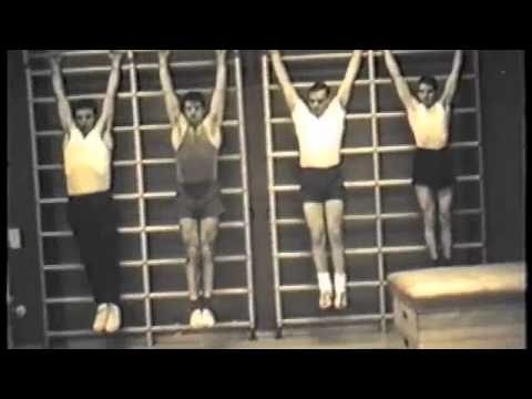 Hösbacher Ortsgeschehen - Handball