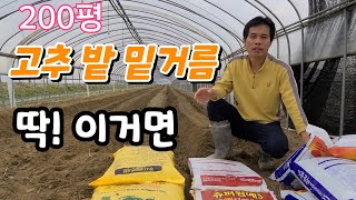 고추 밑거름 200평에 이거면 대풍 기대해도