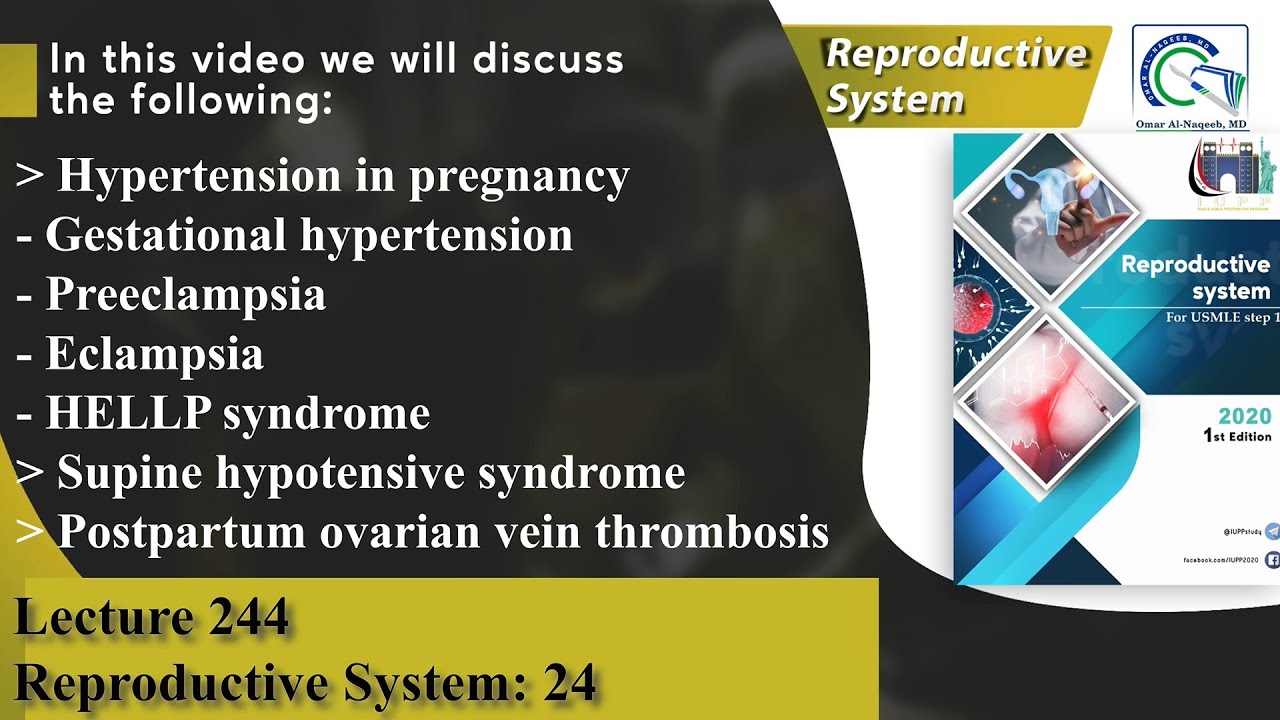 Gestational hypertension | Preeclampsia | Eclampsia | HELLP syndrome | Supine hypotensive syndrome