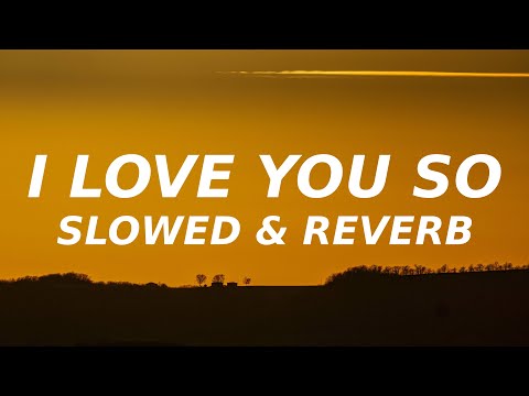 Schnuffel - I love you so (Slowed & Reverb) i love you so i can never let you go