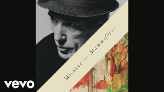 Miossec - Merci (Audio)