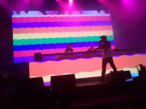 EL FREAKY COLECTIVO - BOGOTA (COLOMBIA)