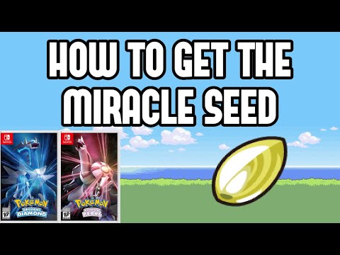 How to Get the Miracle Seed in Pokemon Brilliant Diamond & Shining Pearl