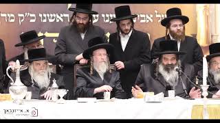 האדמו"ר מווערדאן בעריכות השולחן הטהור לרגל הילולת אביו האדמו"ר זצ"ל