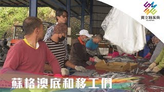 [心得] 奴工島：一名蘇州女生在台的東南亞移工