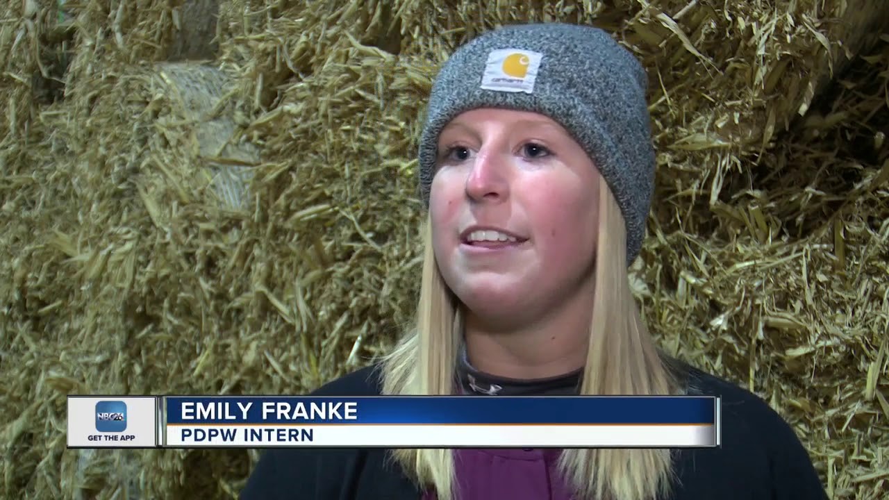 Farming mentor program setting students up for success