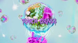 Cover art for Touch Grass