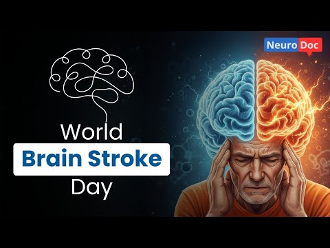 Advanced Neuro-Rehabilitation Therapy