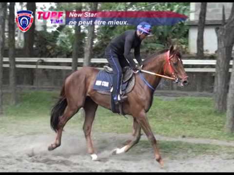 FLOREAL NEWS - RACE MEETING 35 (25.11.2016)