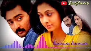 Kannum kannum movie BGM