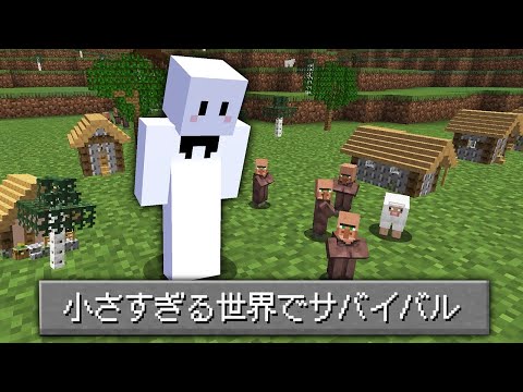 全てが1/10サイズになった世界でサバイバル【マインクラフト】