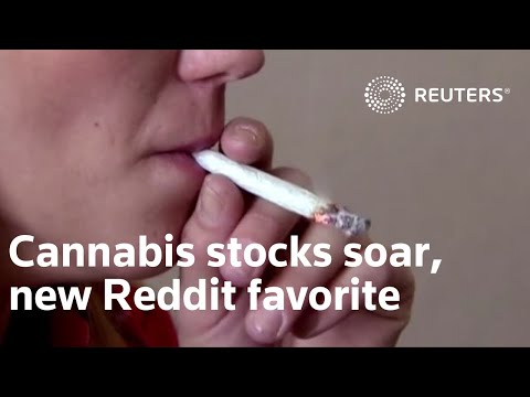 大麻股因Reddit推動的漲勢而走高 (Cannabis stocks get high on Reddit-fueled rally)