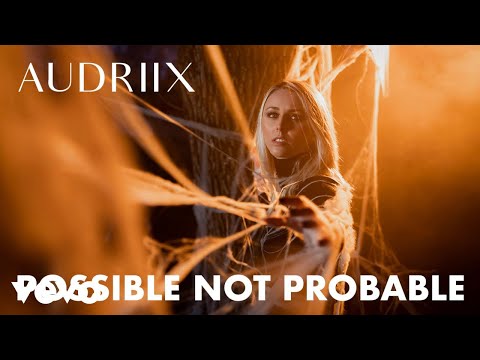 Audriix - Possible Not Probable (Official Music Video)