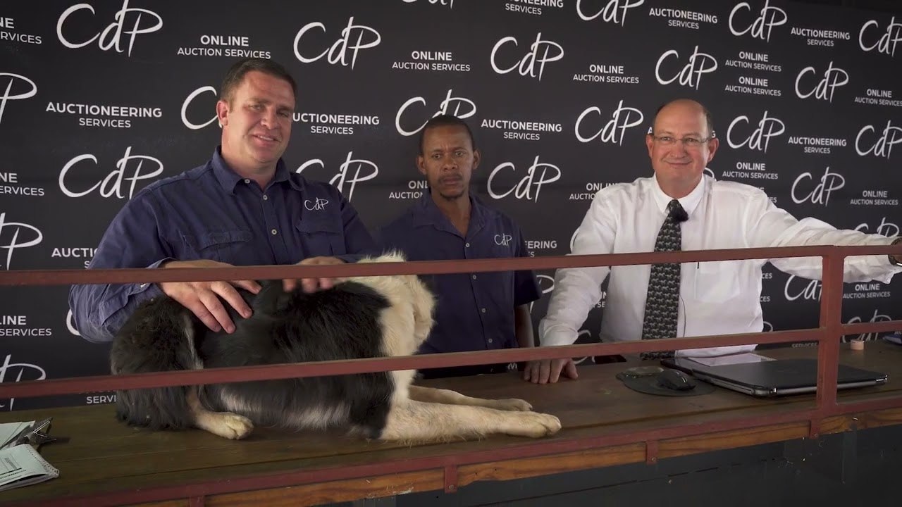 CdP Auctioneering Services | Livestock, Game and Stud Auctions