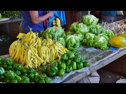 Home Province (WHP), Red Kay ft K-Kundumbz (2023), PNG local music