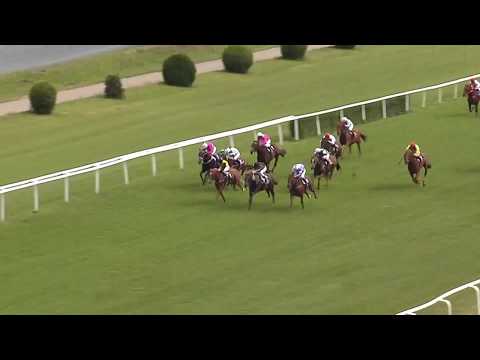 1. dostih - CENA SÁZEK BETINO - dostihy Velká Chuchle 12. 7. 2019