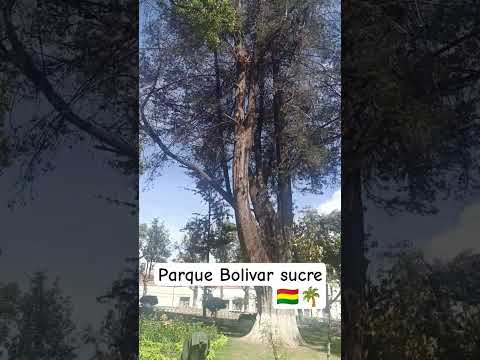 sucre Bolivia Parque Bolivar 🌴🇧🇴🐝