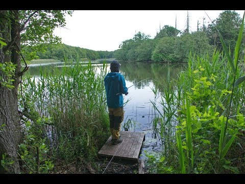 Lostinature tur - Fisketur i pinsen. Bondedammen
