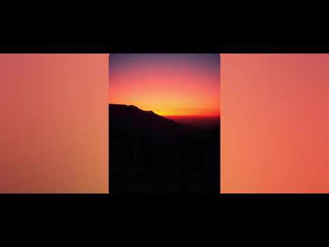 Cedro De São João (Add Vocal V5) -Axé São João 