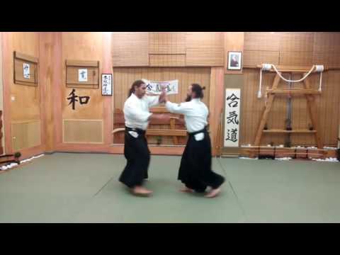 Dynamic Aikido Sensei fanis kokolis