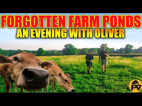 Forgotten farm ponds part 2
